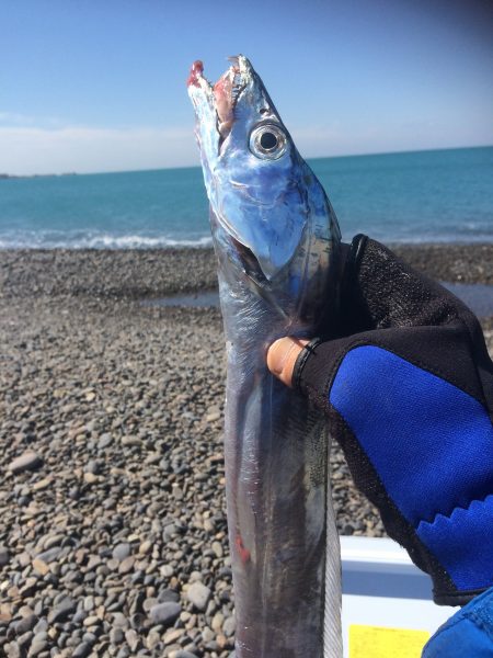 煙樹ヶ浜でショアジギング