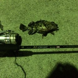 メバリングに行ってきました