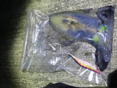 仕事終わりからのエギング