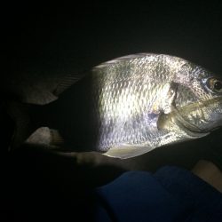 マイポイントでチニング