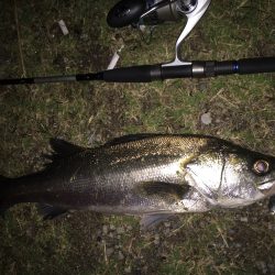 下げ止まりまで90分