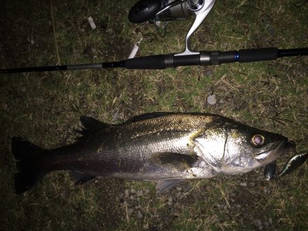 下げ止まりまで90分