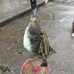 本命は釣れず…