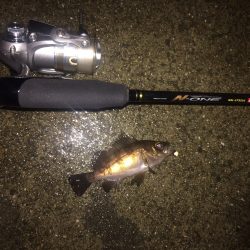 メバリングに行ってきました！