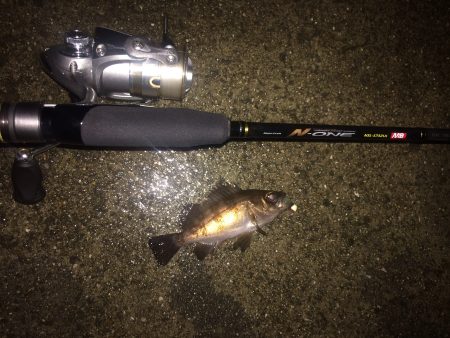 メバリングに行ってきました！