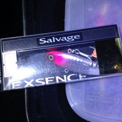 リバーシーバス