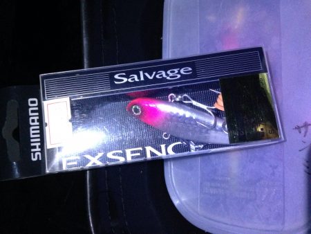 リバーシーバス