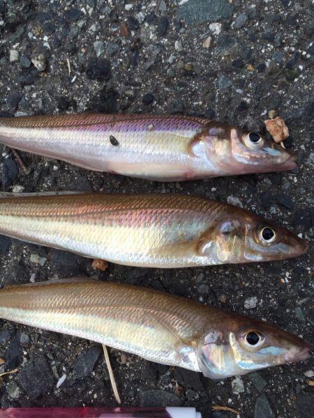 キス⁈開幕か⁈