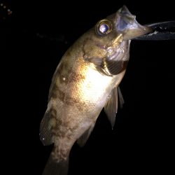 週末のおきまり