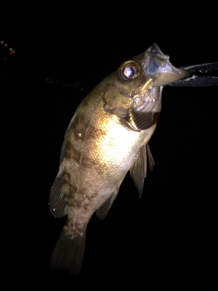 週末のおきまり