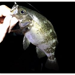 開幕…なのか？笑