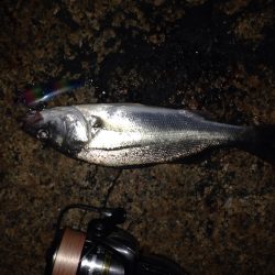 反則的なバイブレーションプラグで