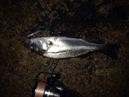 反則的なバイブレーションプラグで