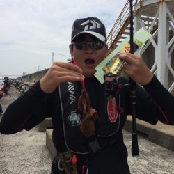 エギングフェスタ2015