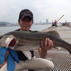 ノマセでスズキ