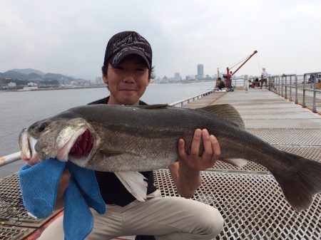 ノマセでスズキ