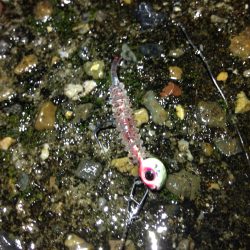 雨降りなんて関係ないっ！