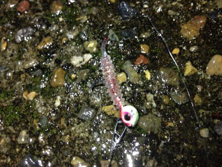 雨降りなんて関係ないっ！