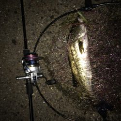 バチ抜けパターン