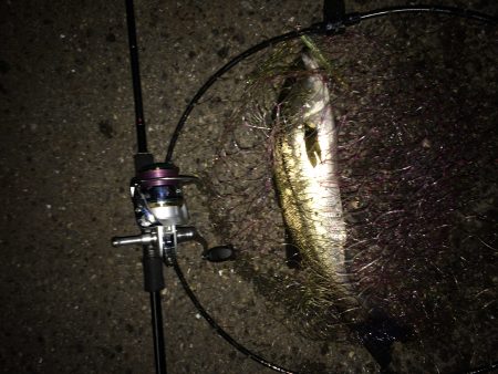 バチ抜けパターン