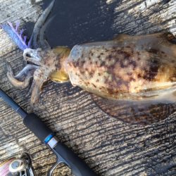 サイズが出ない・・・