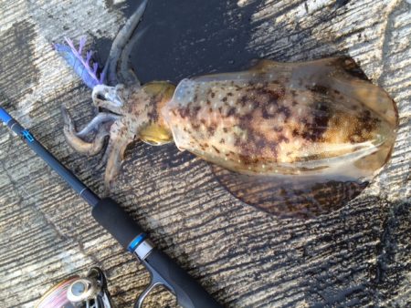 サイズが出ない・・・