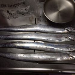 アタリはあるが。。。