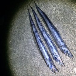 やっぱり数が出ない（笑）