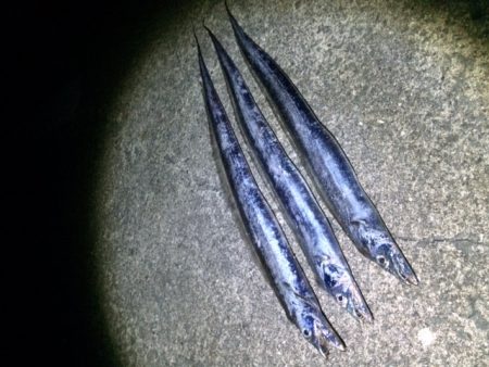 やっぱり数が出ない（笑）