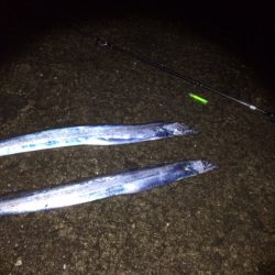 ん～、釣れない（笑）