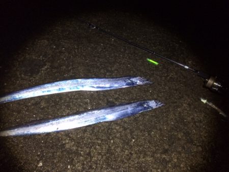 ん～、釣れない（笑）