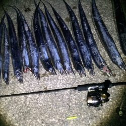 タッチ―プチ(爆)