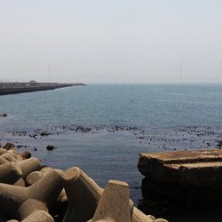 ファミリーフィッシングin林崎