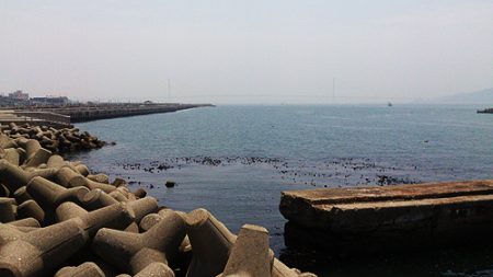 ファミリーフィッシングin林崎