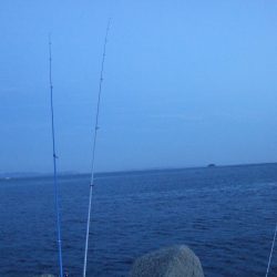キス釣れました。暗くなってからはあなごも