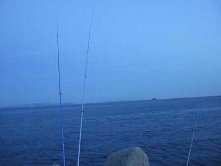 キス釣れました。暗くなってからはあなごも