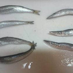 そっちかーい！