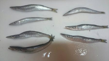 そっちかーい！