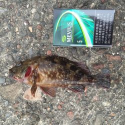 今日もまた(^_^)