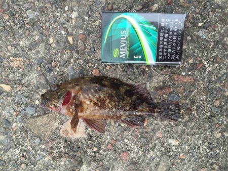 今日もまた(^_^)