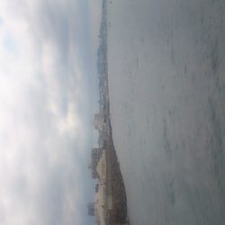 やっぱりサビキは裏切らない！？