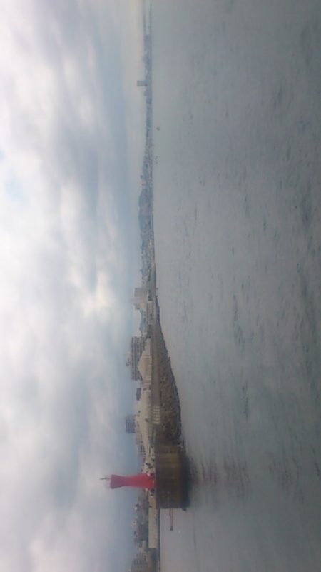 やっぱりサビキは裏切らない！？