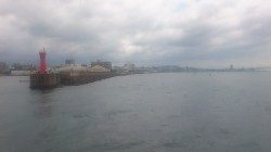 やっぱりサビキは裏切らない！？