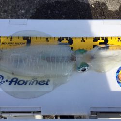 春なのに・・・