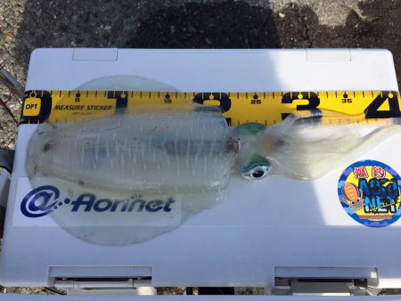 春なのに・・・