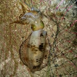 雨の中粘りました！