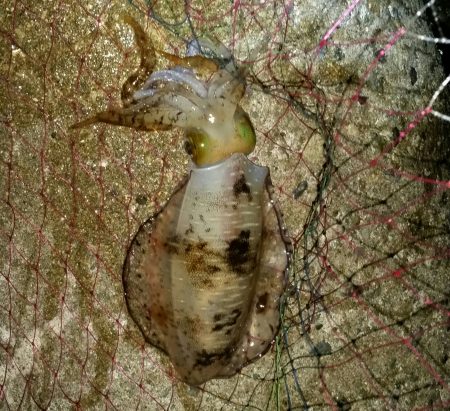 雨の中粘りました！