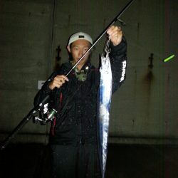 雨でもタチウオ