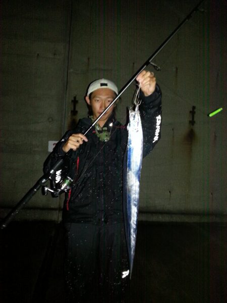 雨でもタチウオ