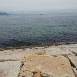 キス釣りのはずが………。